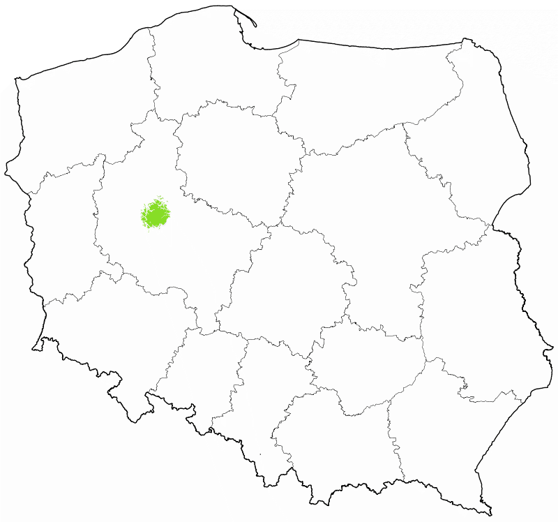 DAB+ multipleks lokalny Poznań