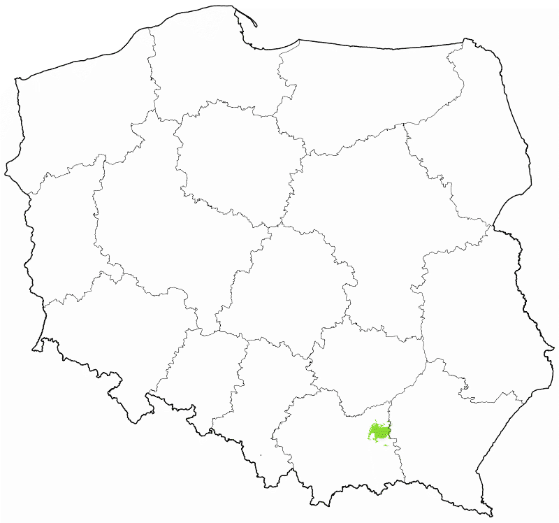 DAB+ multipleks lokalny Tarnów
