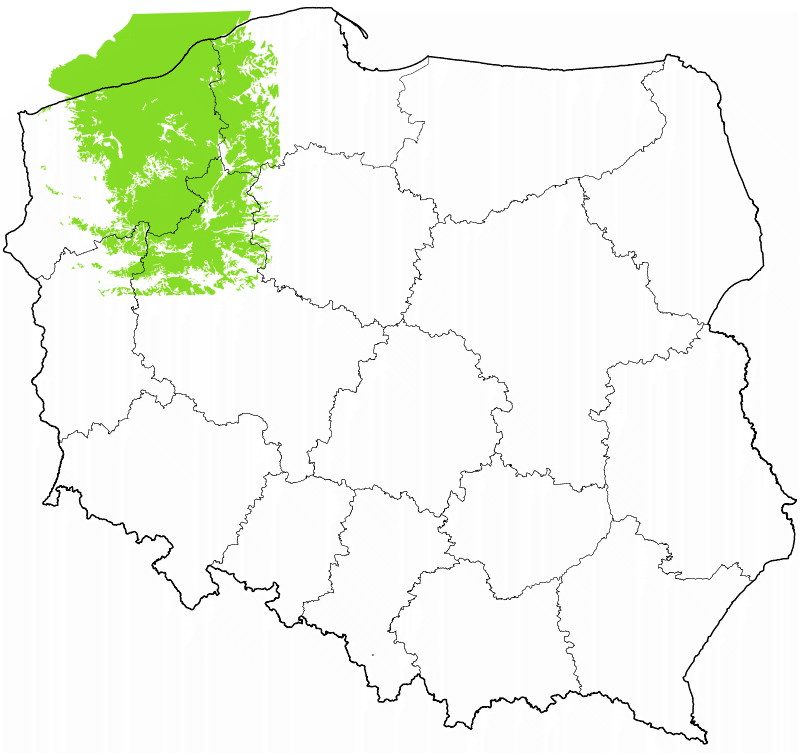 Multipleks Polskie Radio - Województwo zachodniopomorskie
