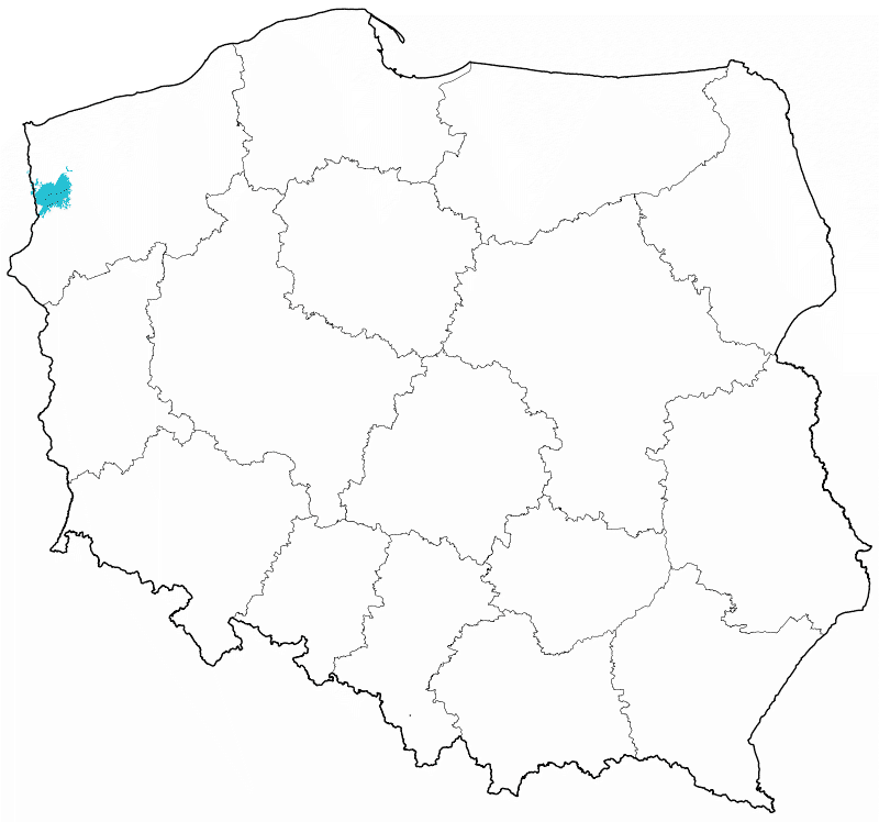 DAB+ multipleks lokalny Szczecin