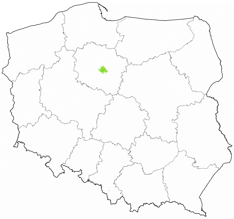 DAB+ multipleks lokalny Toruń